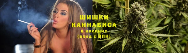 тгк Горно-Алтайск