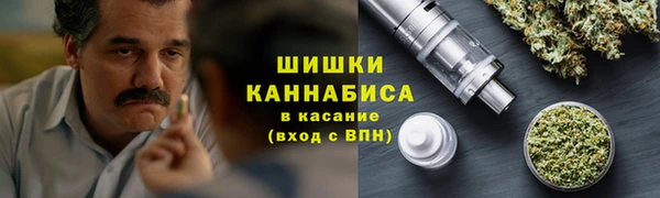 МДПВ Горнозаводск