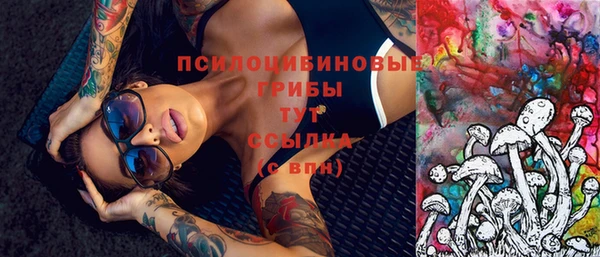 МДПВ Горнозаводск