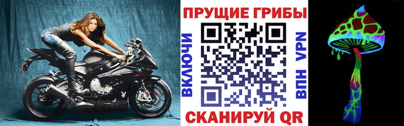 Галлюциногенные грибы Psilocybine cubensis  Покров 
